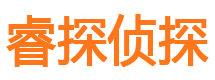 城中寻人公司